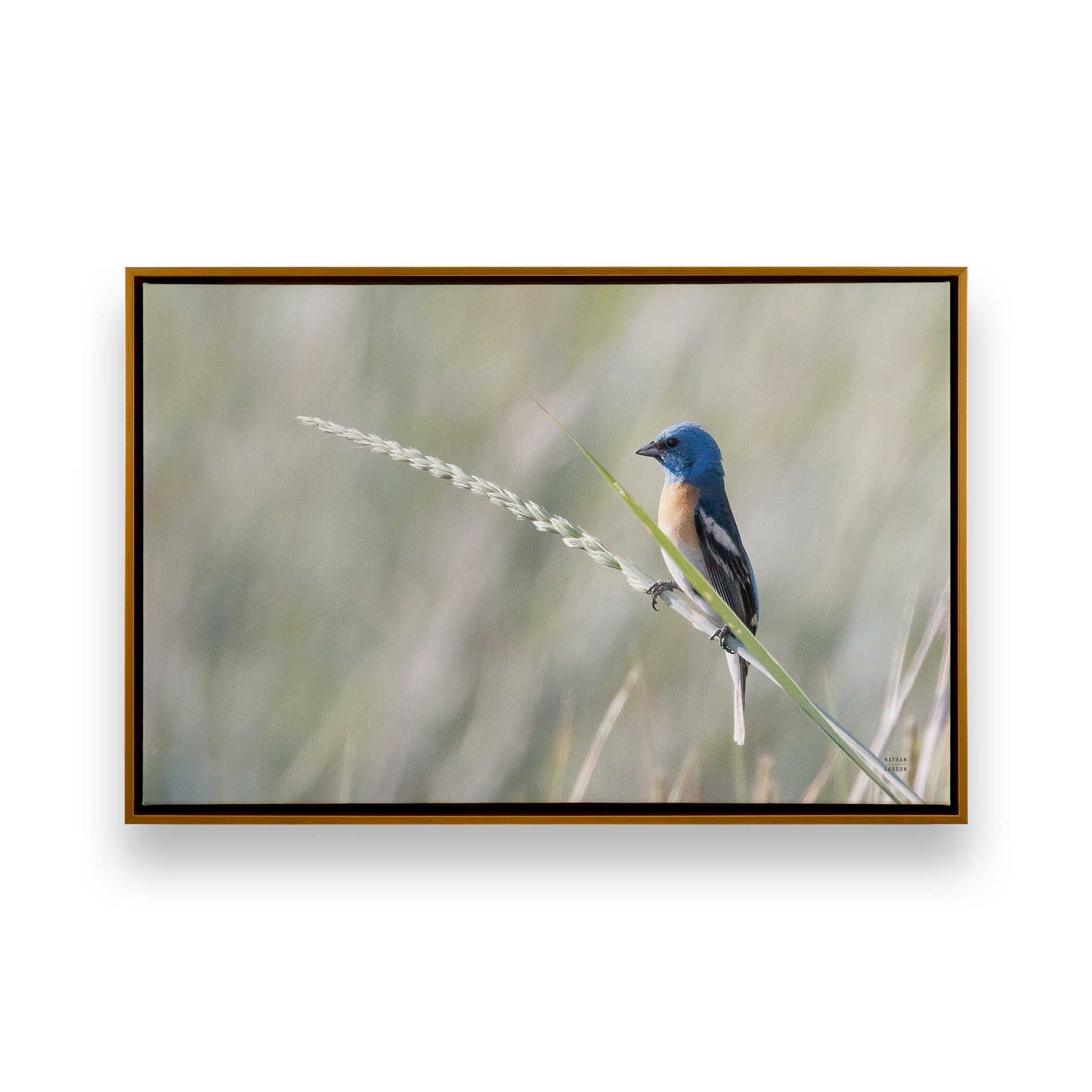 [Color:Polished Gold], Picture of art in a Polished Gold frame