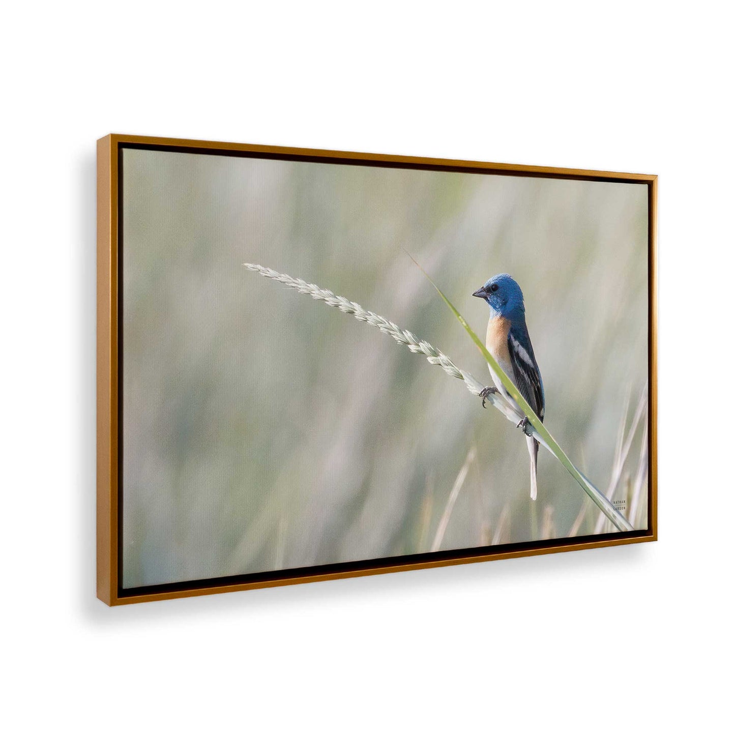 [Color:Polished Gold], Picture of the corner of the art