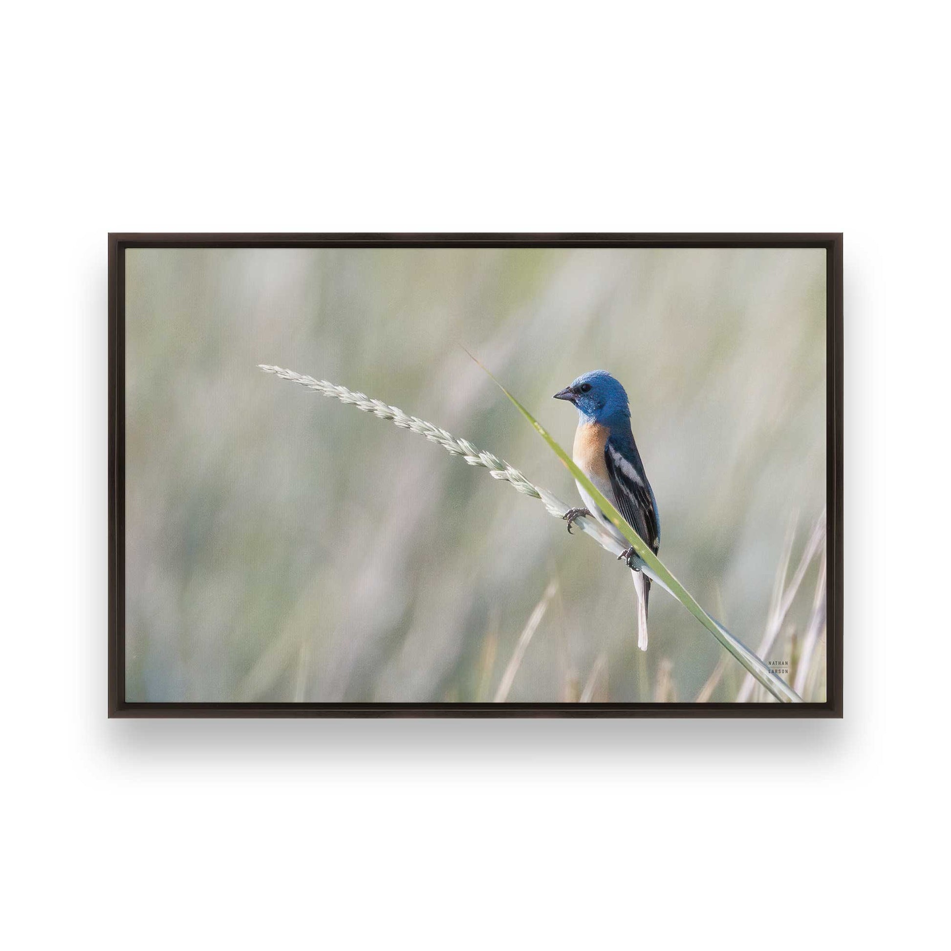 [Color:Espresso], Picture of art in a Espresso frame