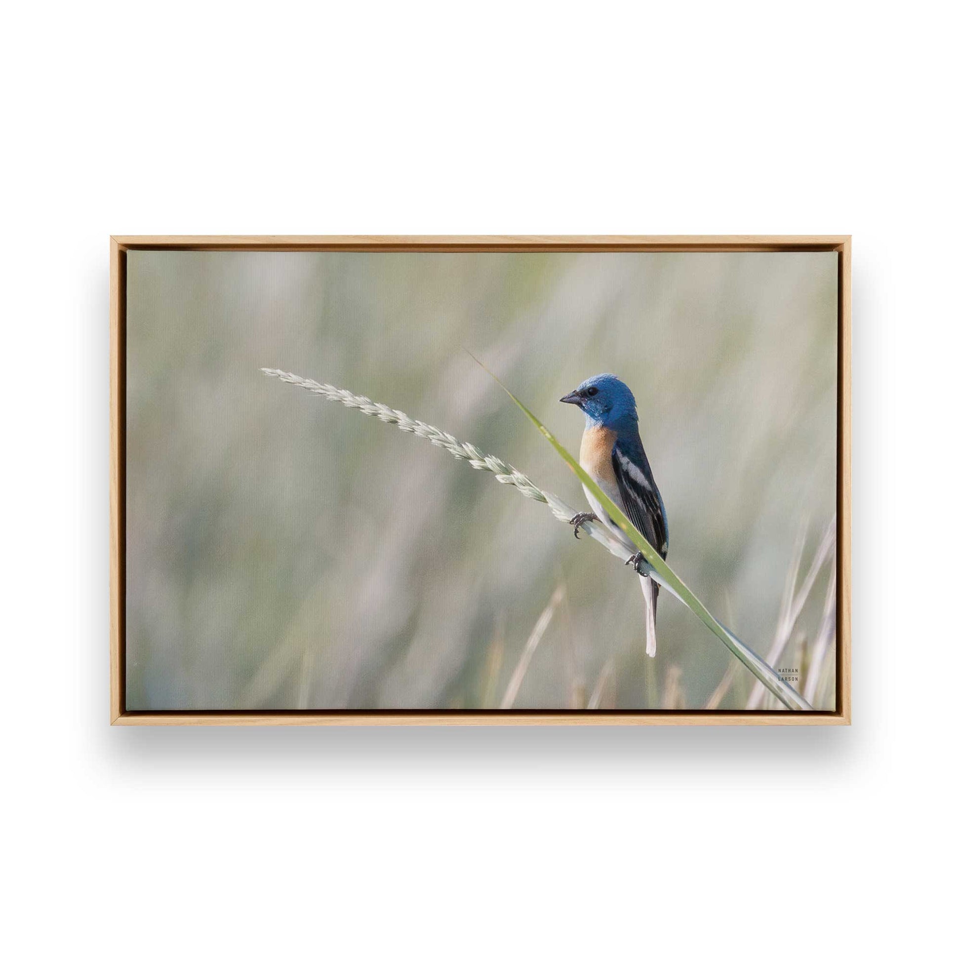 [Color:American Maple], Picture of art in a American Maple frame