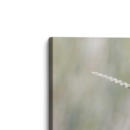 [Color:Stretched Canvas], Picture of the corner of the art