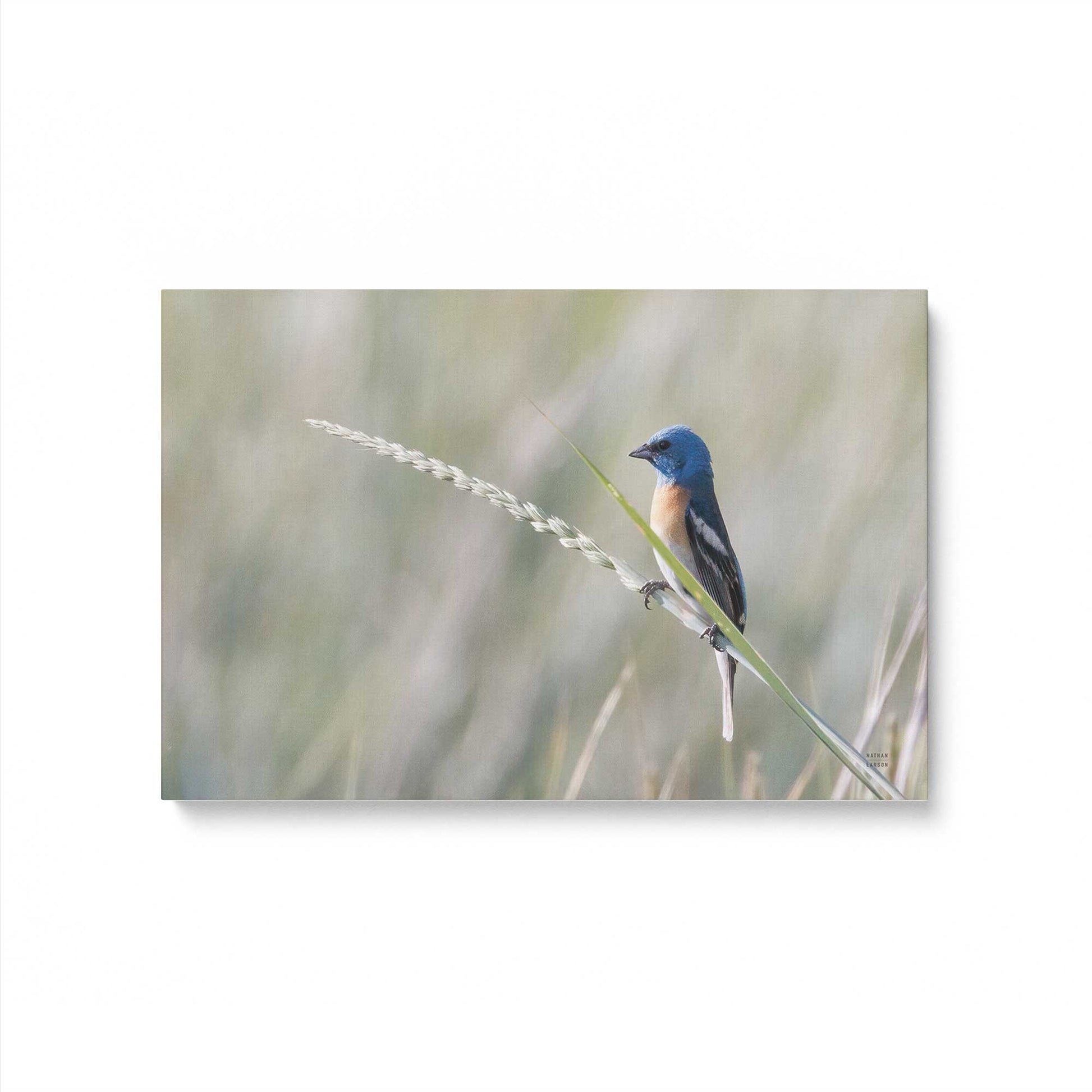 [Color:Stretched Canvas], Picture of art