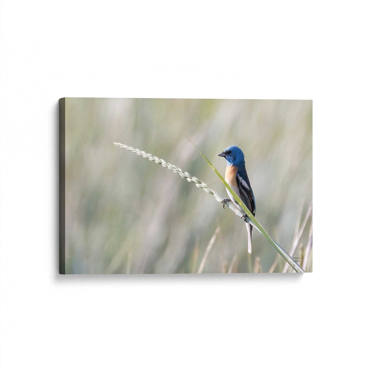 [Color:Stretched Canvas], Picture of art at an angle