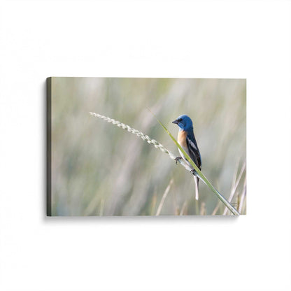 [Color:Stretched Canvas], Picture of art at an angle