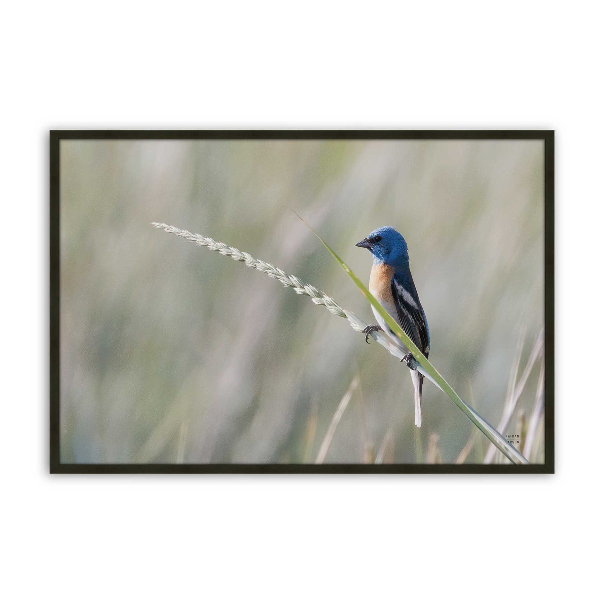 [Color:Satin Black], Picture of art in a Satin Black frame