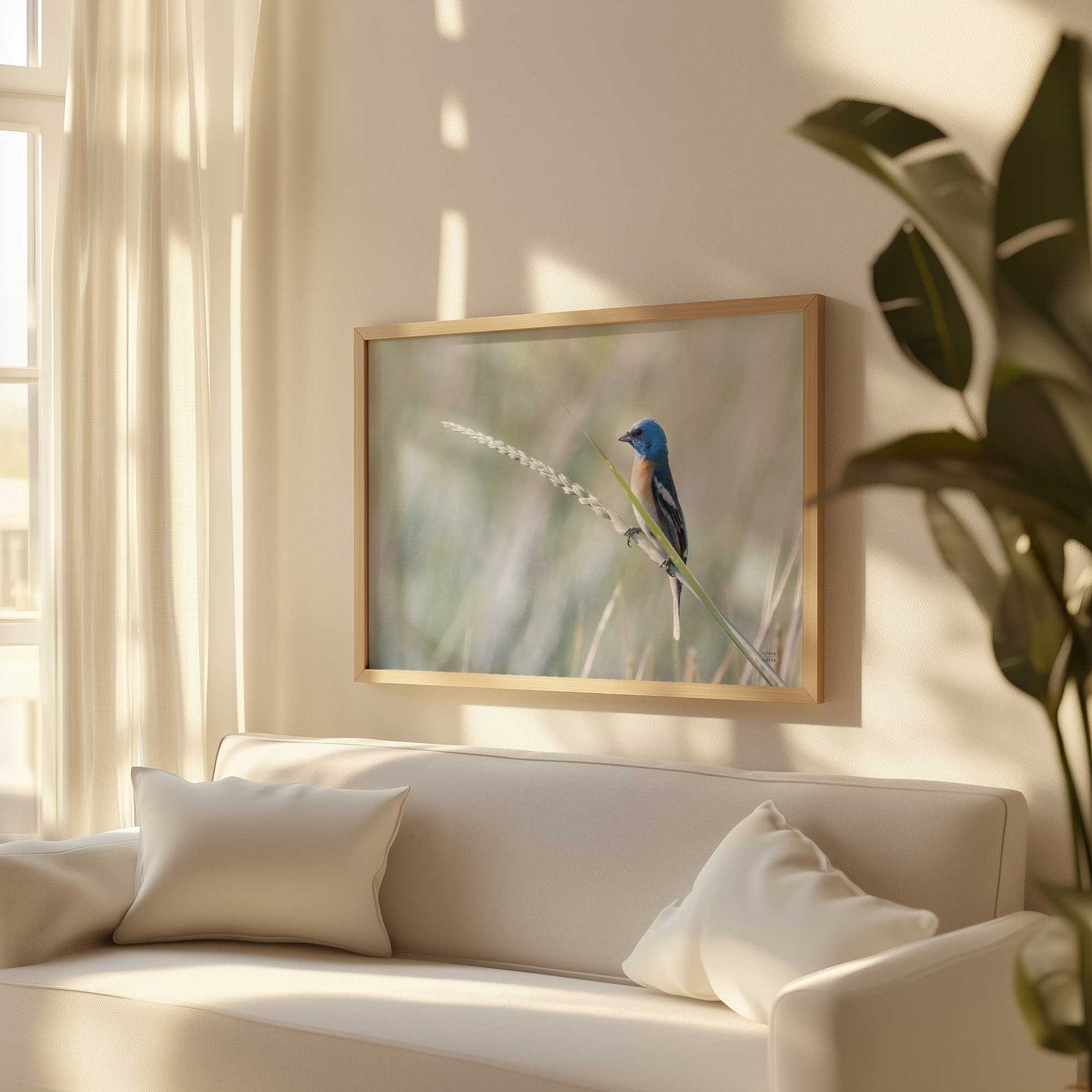 [LIFESTYLE],[SPECIAL],