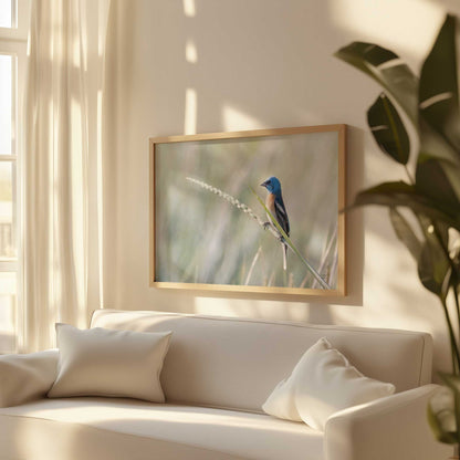 [LIFESTYLE],[SPECIAL],