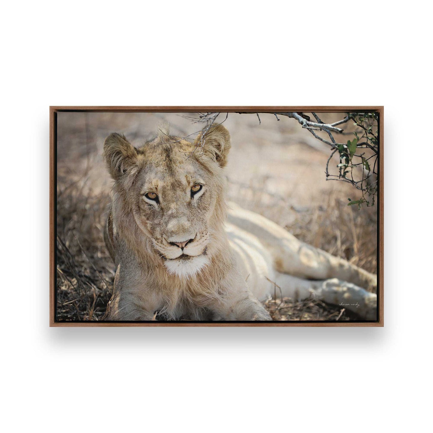 [Color:Walnut], Picture of art in a Walnut frame