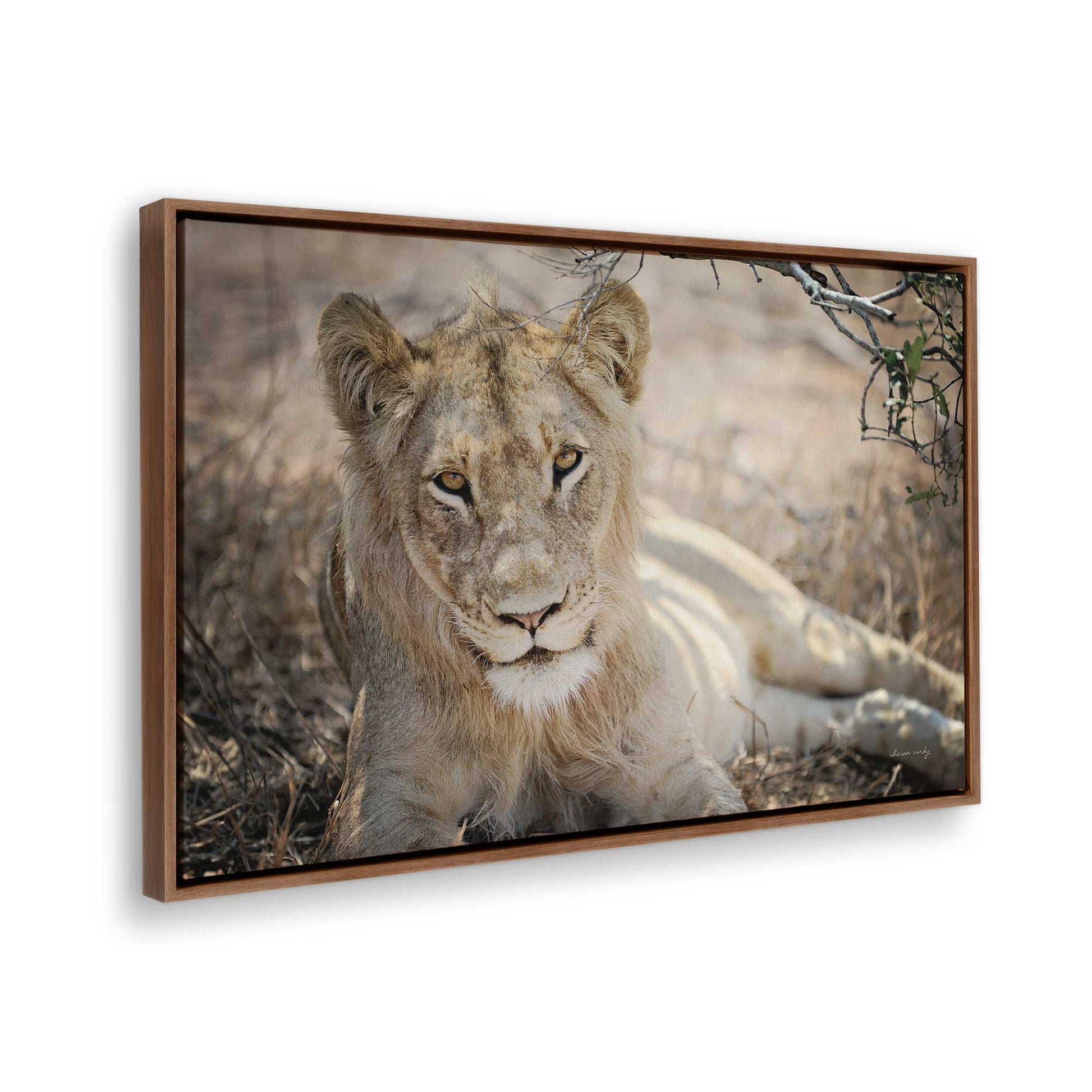 [Color:Walnut], Picture of the corner of the art