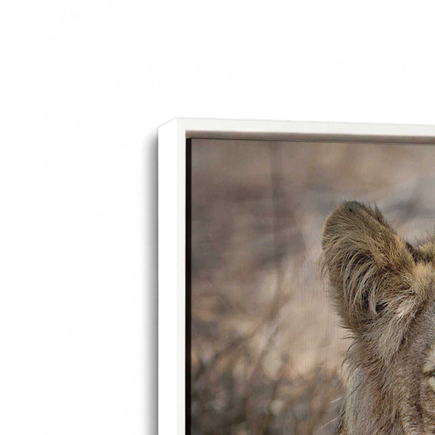 [Color:Opaque White], Picture of art in a White frame at an angle