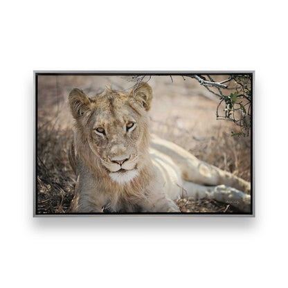 [Color:Polished Chrome], Picture of art in a Polished Chrome frame