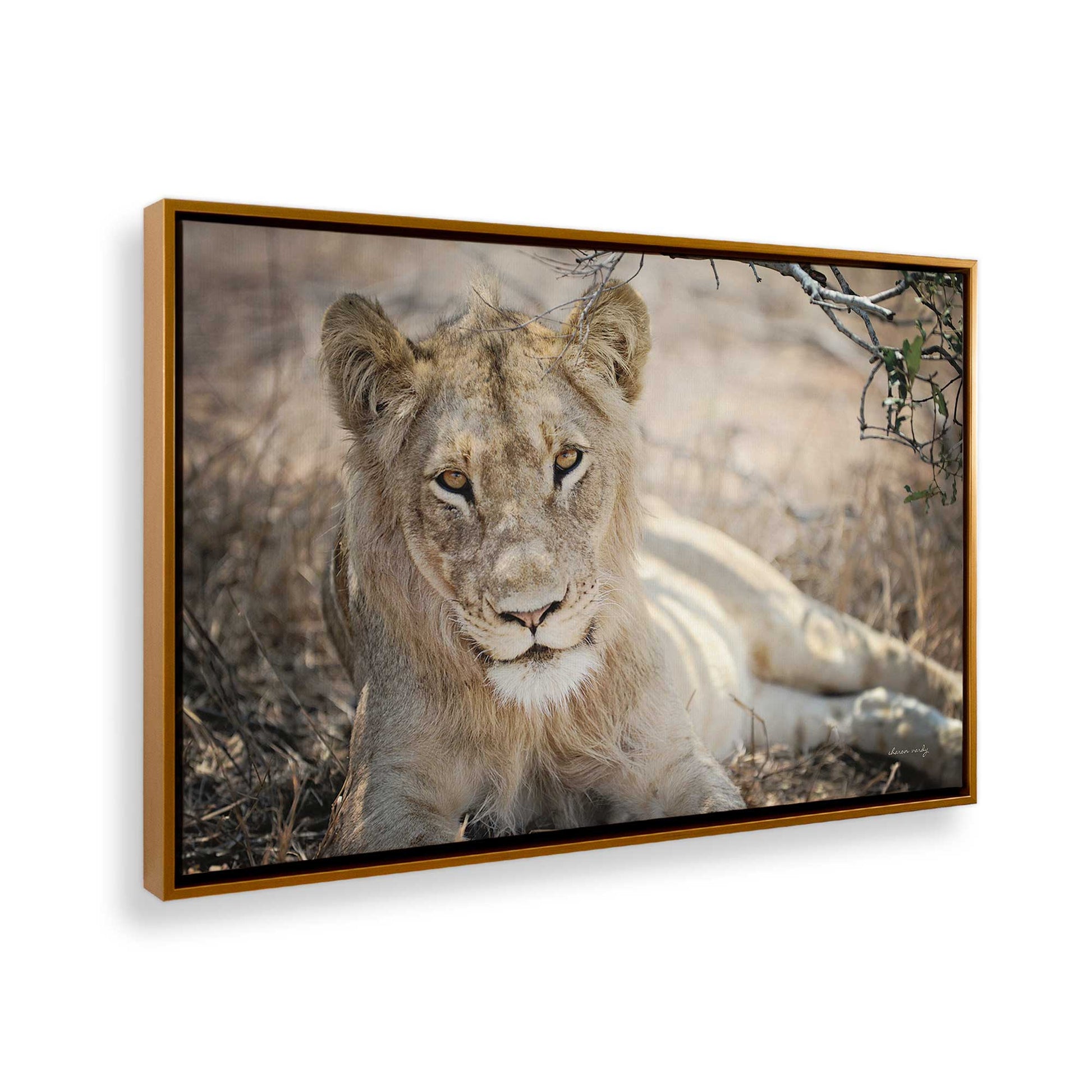 [Color:Polished Gold], Picture of the corner of the art