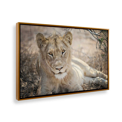 [Color:Polished Gold], Picture of the corner of the art