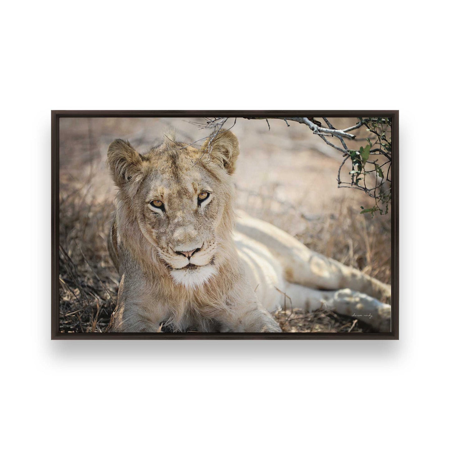 [Color:Espresso], Picture of art in a Espresso frame