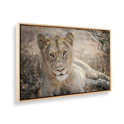 [Color:American Maple], Picture of the corner of the art