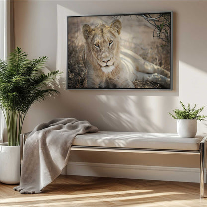 Picture of art in a room