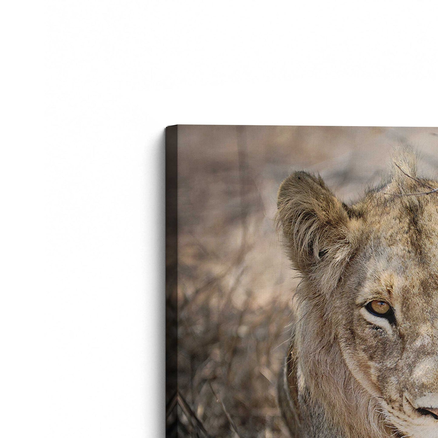 [Color:Stretched Canvas], Picture of the corner of the art