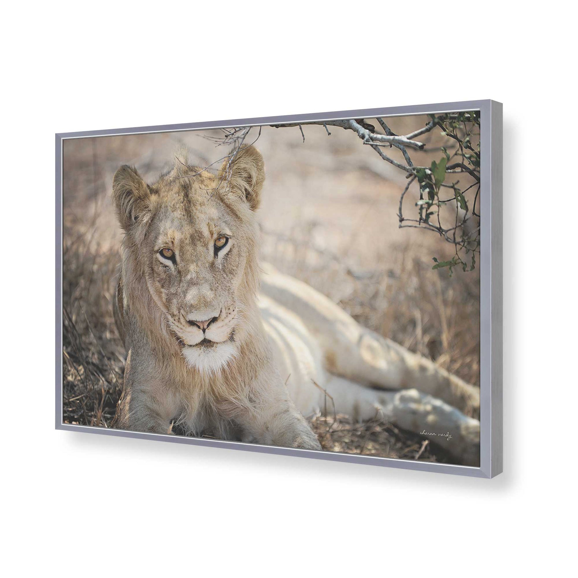 [Color:Polished Chrome], Picture of art in a Polished Chrome frame of the corner