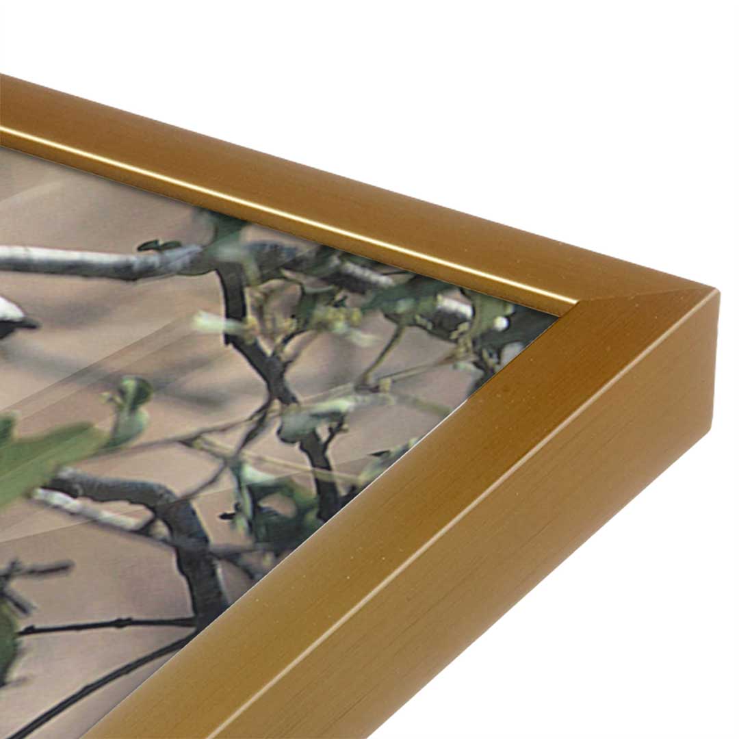 [Color:Polished Gold], Picture of art in a Polished Gold frame at an angle