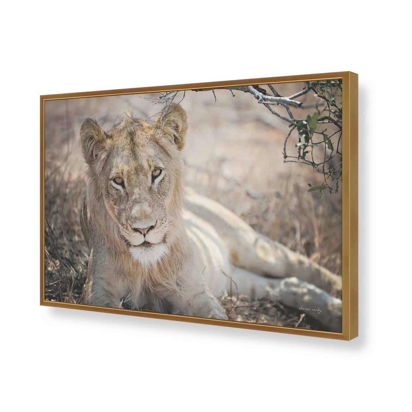 [Color:Polished Gold], Picture of art in a Polished Gold frame of the corner