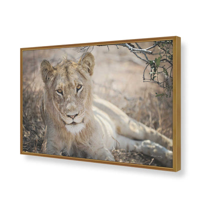 [Color:Polished Gold], Picture of art in a Polished Gold frame of the corner