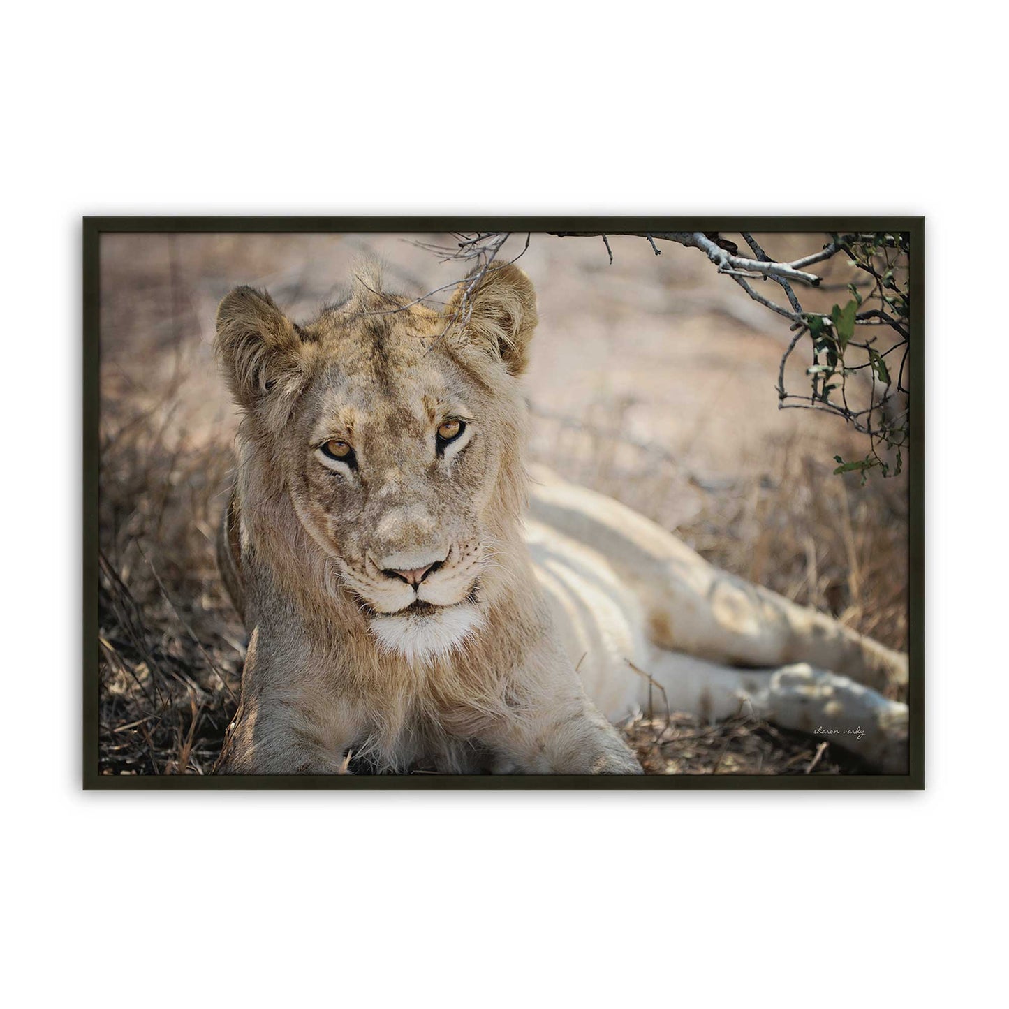 [Color:Satin Black], Picture of art in a Satin Black frame