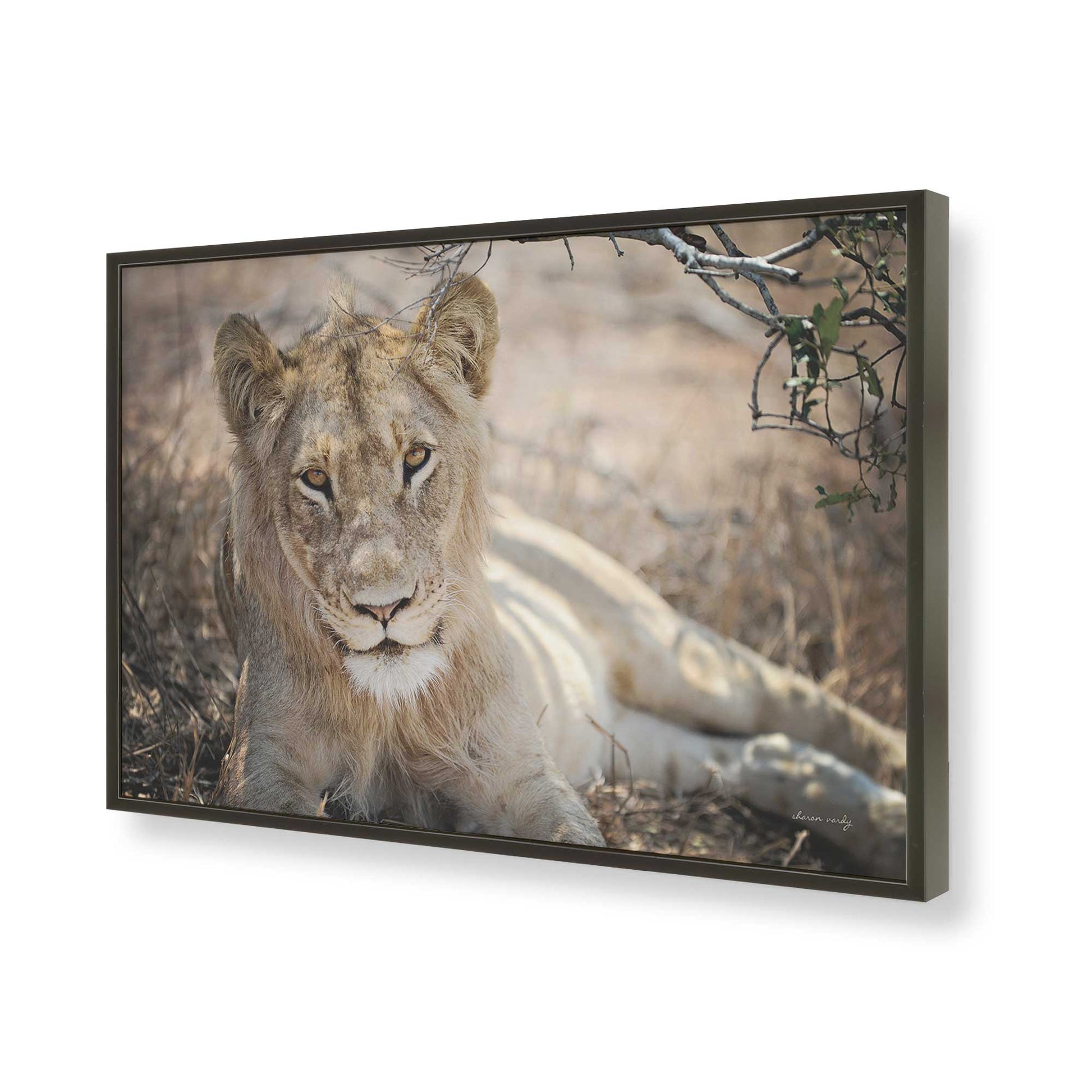 [Color:Satin Black], Picture of art in a Satin Black frame of the corner