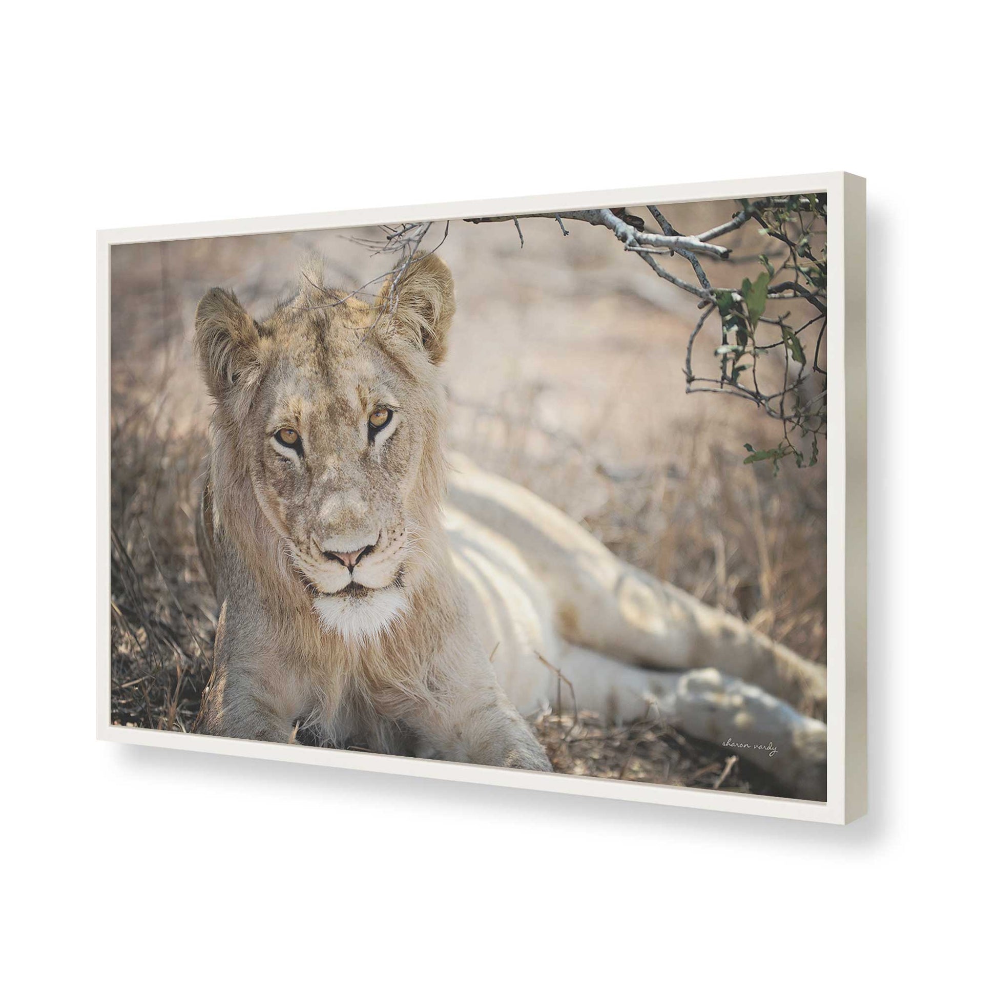 [Color:Opaque White], Picture of art in a Opaque White frame of the corner