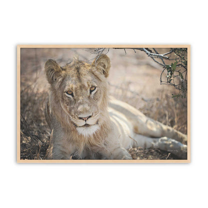 [Color:Raw Maple], Picture of art in a Raw Maple frame