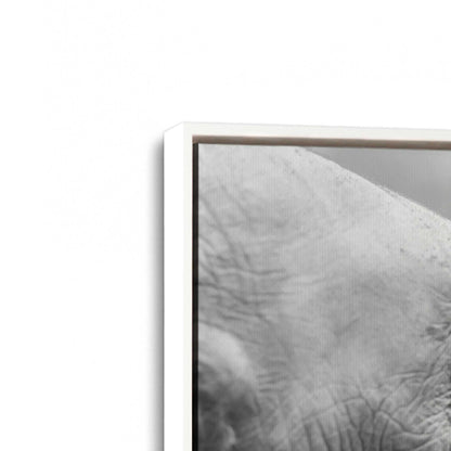 [Color:Opaque White], Picture of art in a White frame at an angle