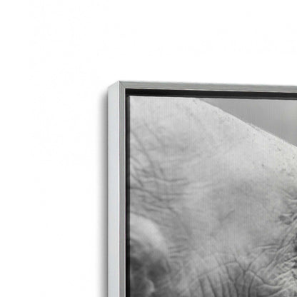 [Color:Polished Chrome], Picture of art in a Polished Chrome frame at an angle