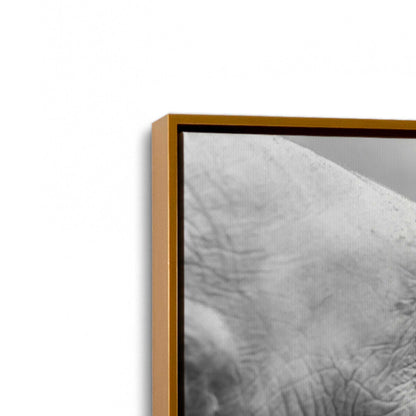 [Color:Polished Gold], Picture of art in a Polished Gold frame at an angle