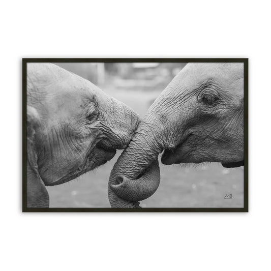 [Color:Satin Black], Front of the art