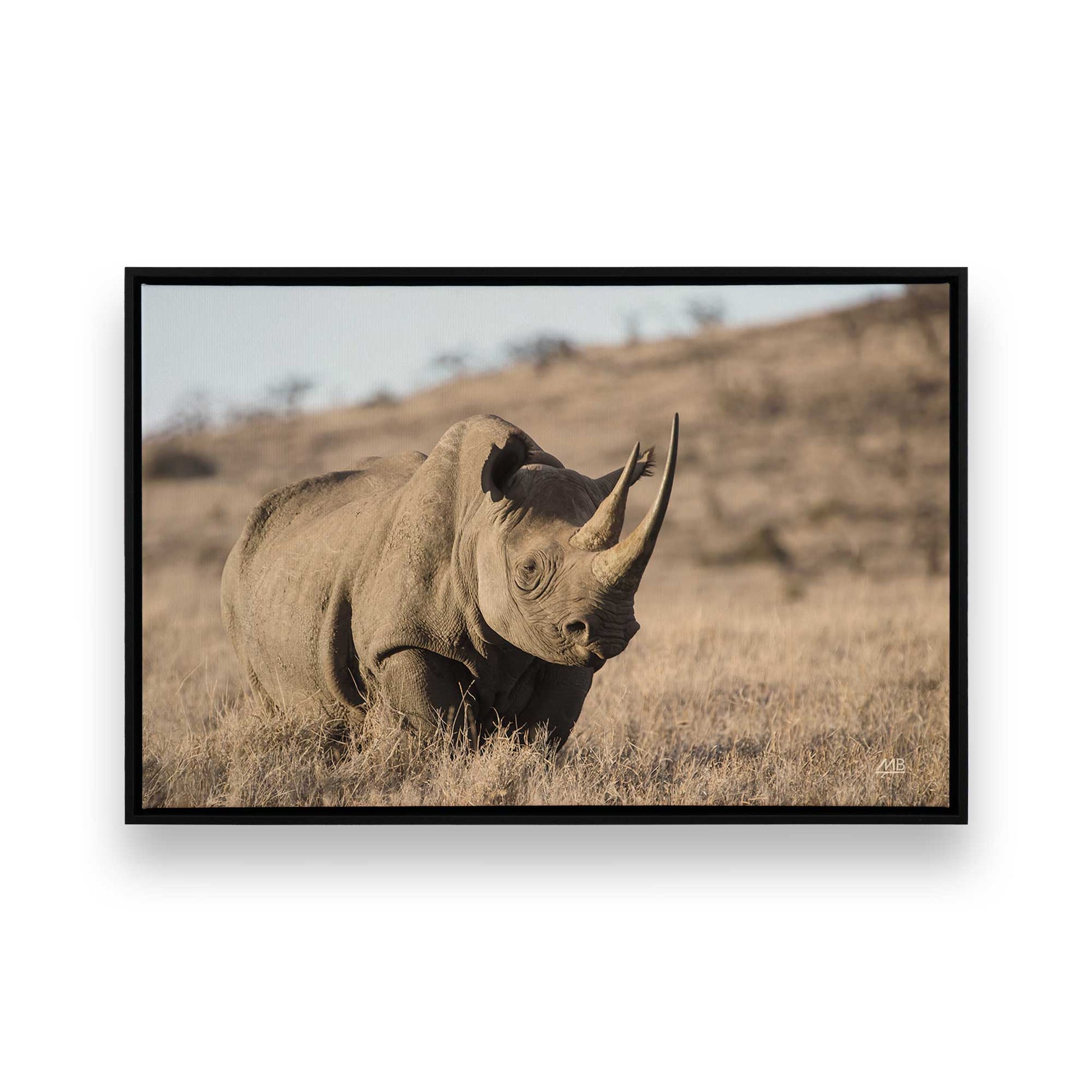 [Color:Satin Black], Picture of art in a Satin Black frame