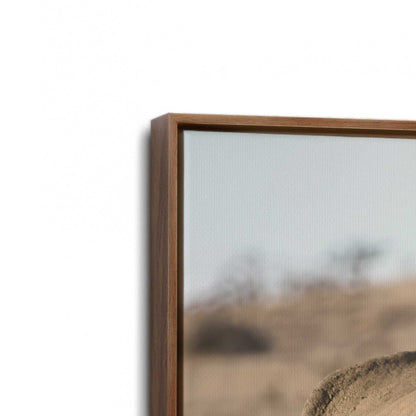 [Color:Walnut], Picture of art in a Walnut frame at an angle