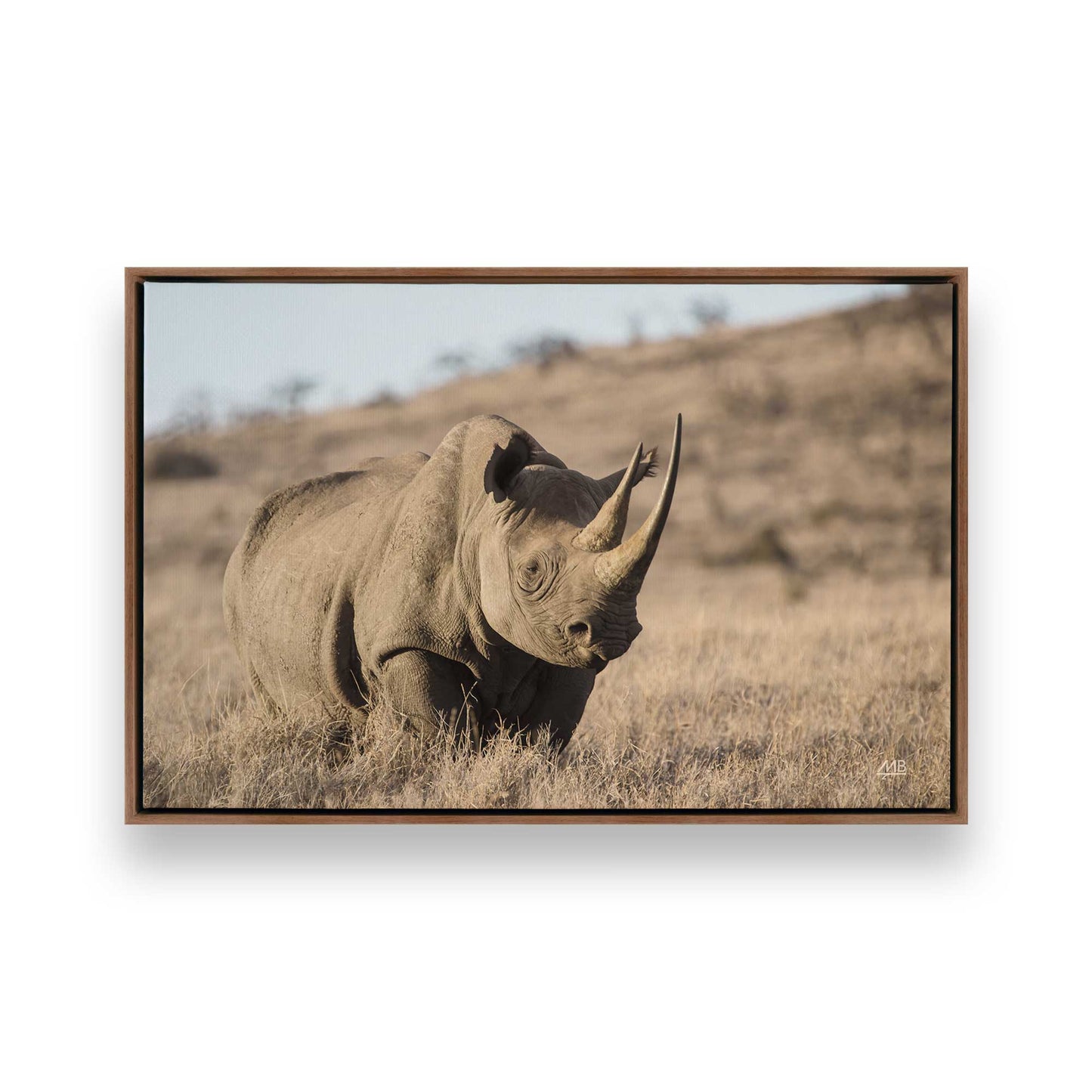 [Color:Walnut], Picture of art in a Walnut frame