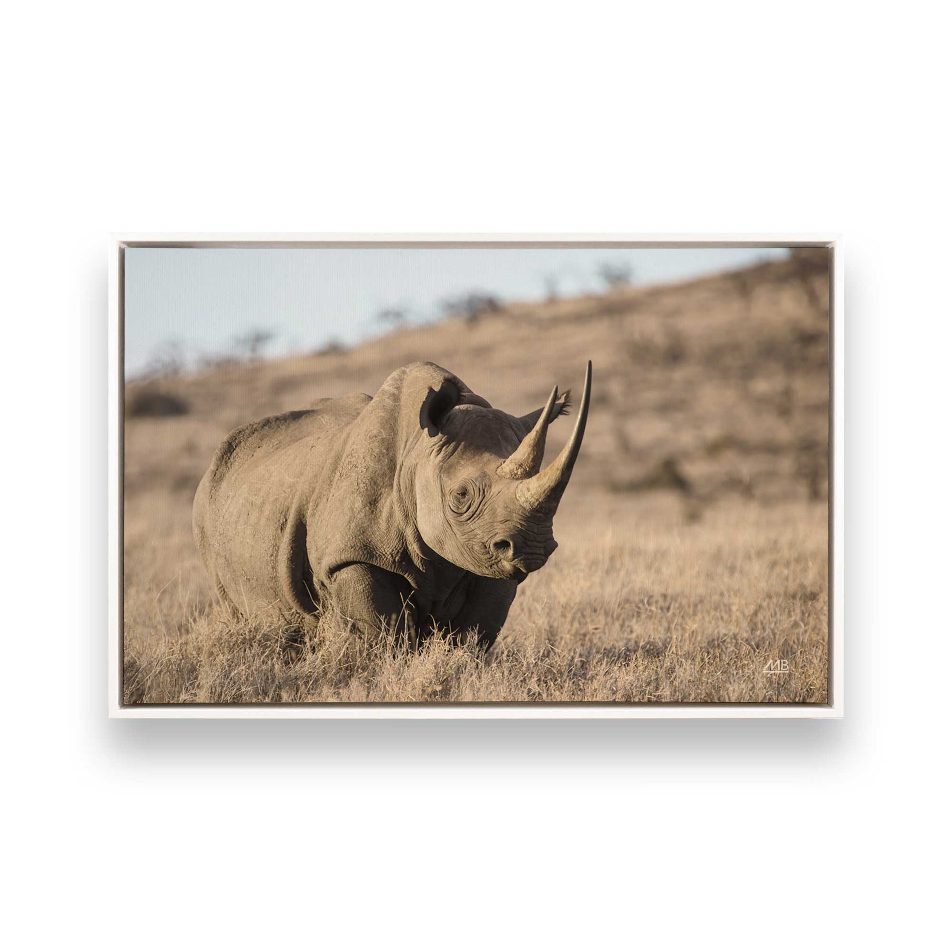[Color:Opaque White], Picture of art in a White frame