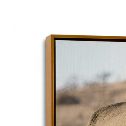 [Color:Polished Gold], Picture of art in a Polished Gold frame at an angle