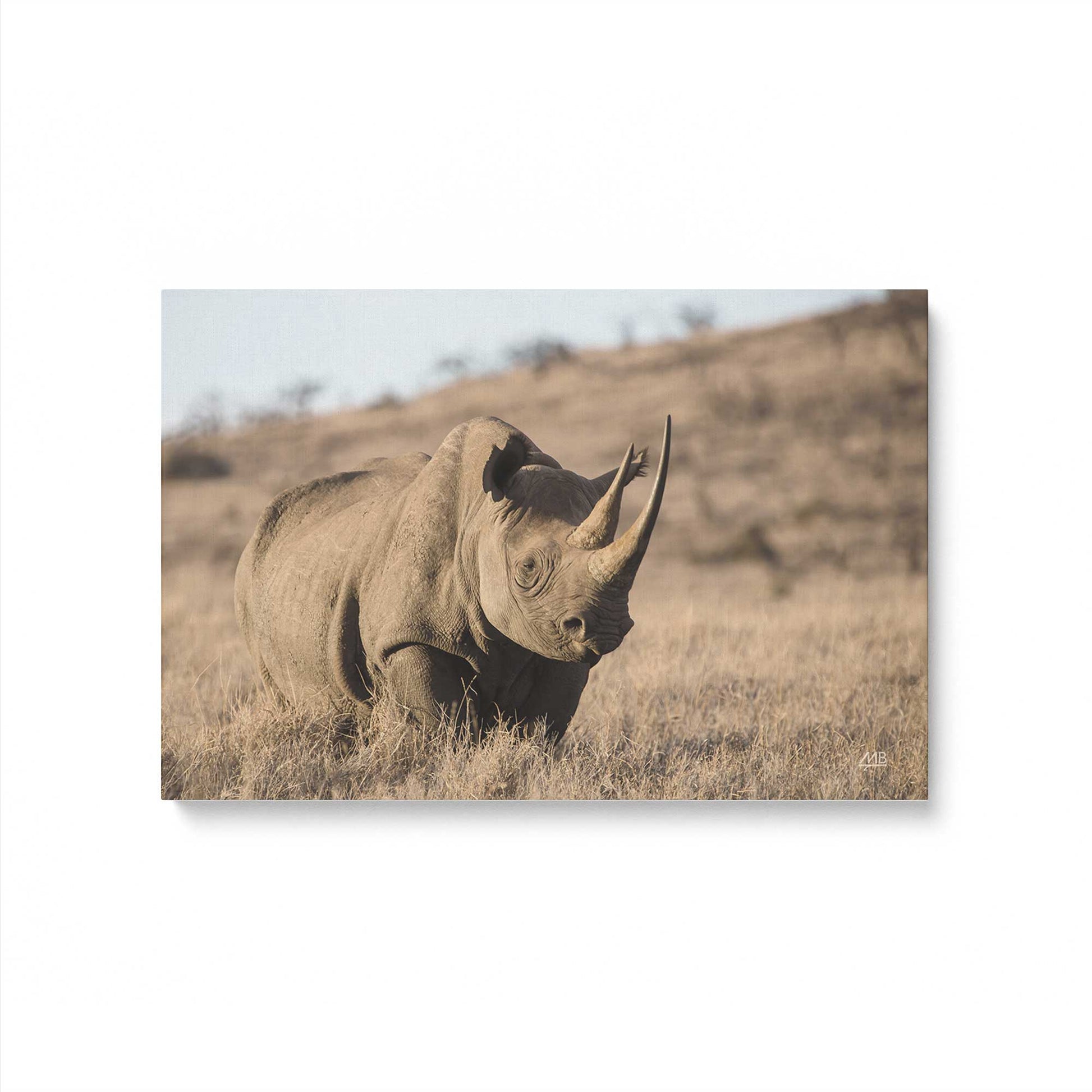 [Color:Stretched Canvas], Picture of art