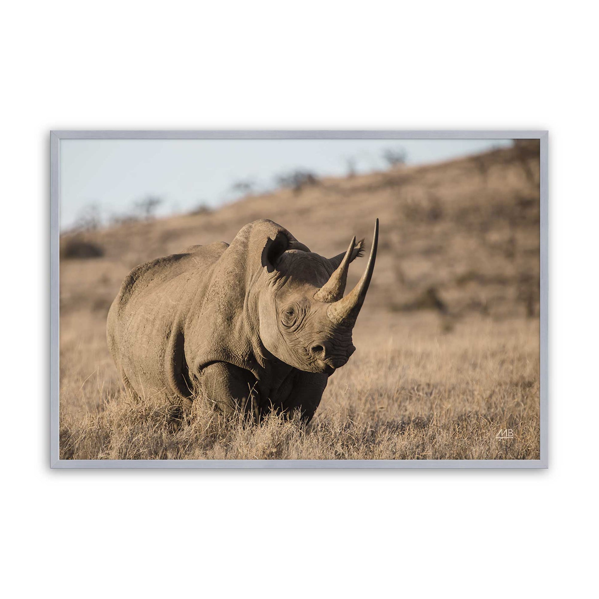 [Color:Polished Chrome], Picture of art in a Polished Chrome frame