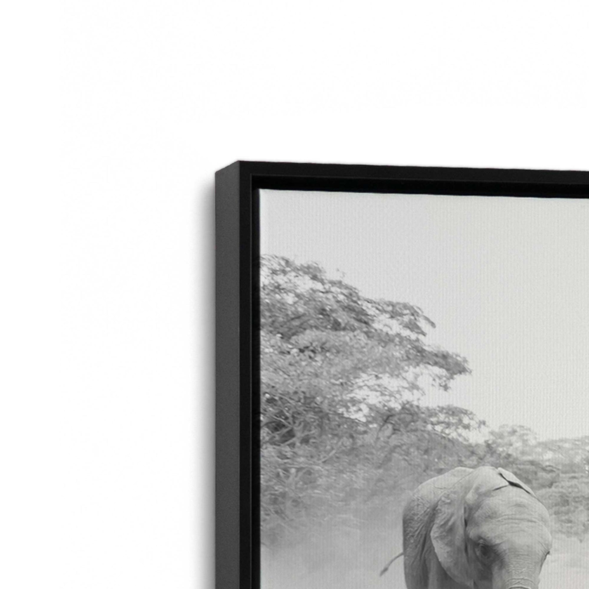 [Color:Satin Black], Picture of art in a Satin Black frame at an angle