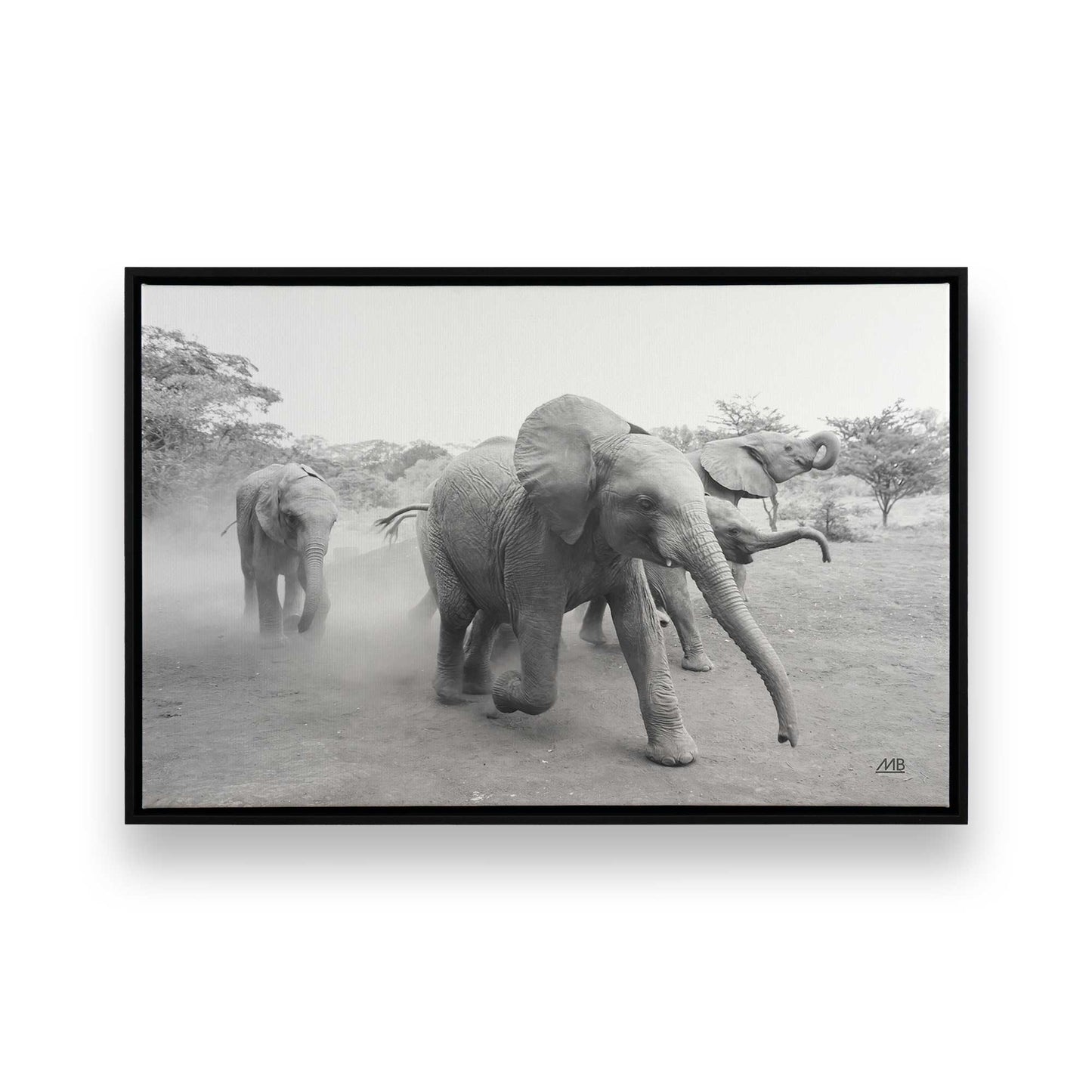 [Color:Satin Black], Picture of art in a Satin Black frame