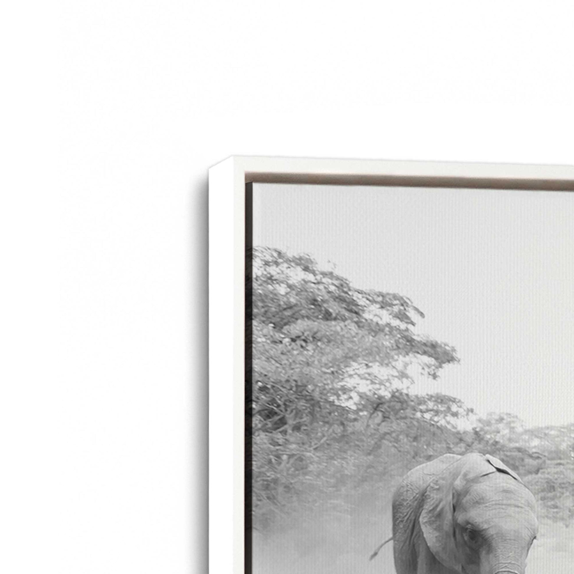 [Color:Opaque White], Picture of art in a White frame at an angle