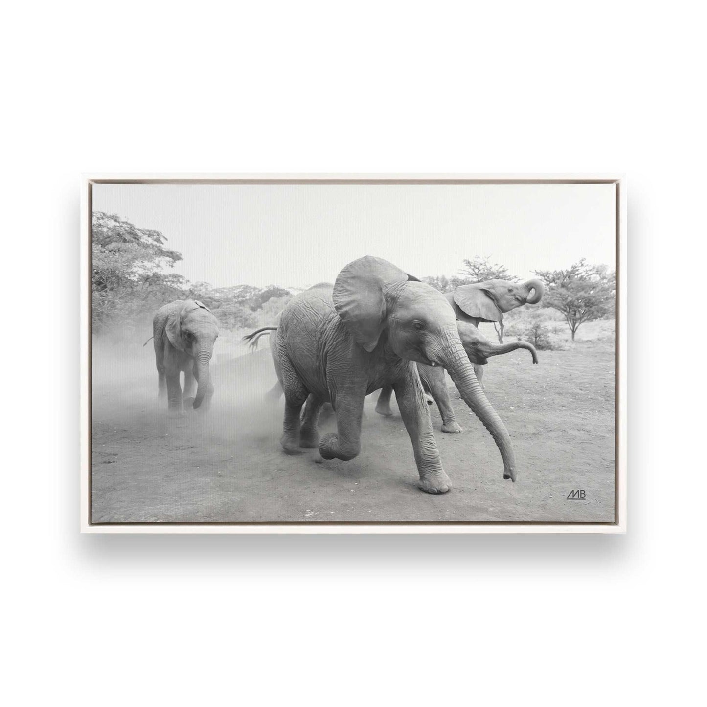 [Color:Opaque White], Picture of art in a White frame