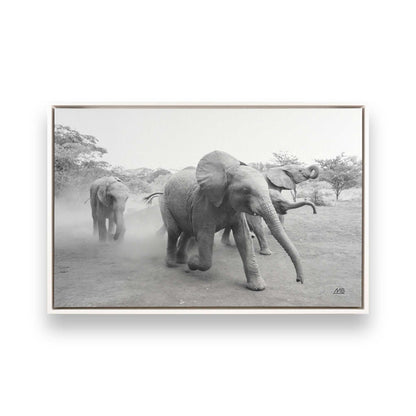 [Color:Opaque White], Picture of art in a White frame