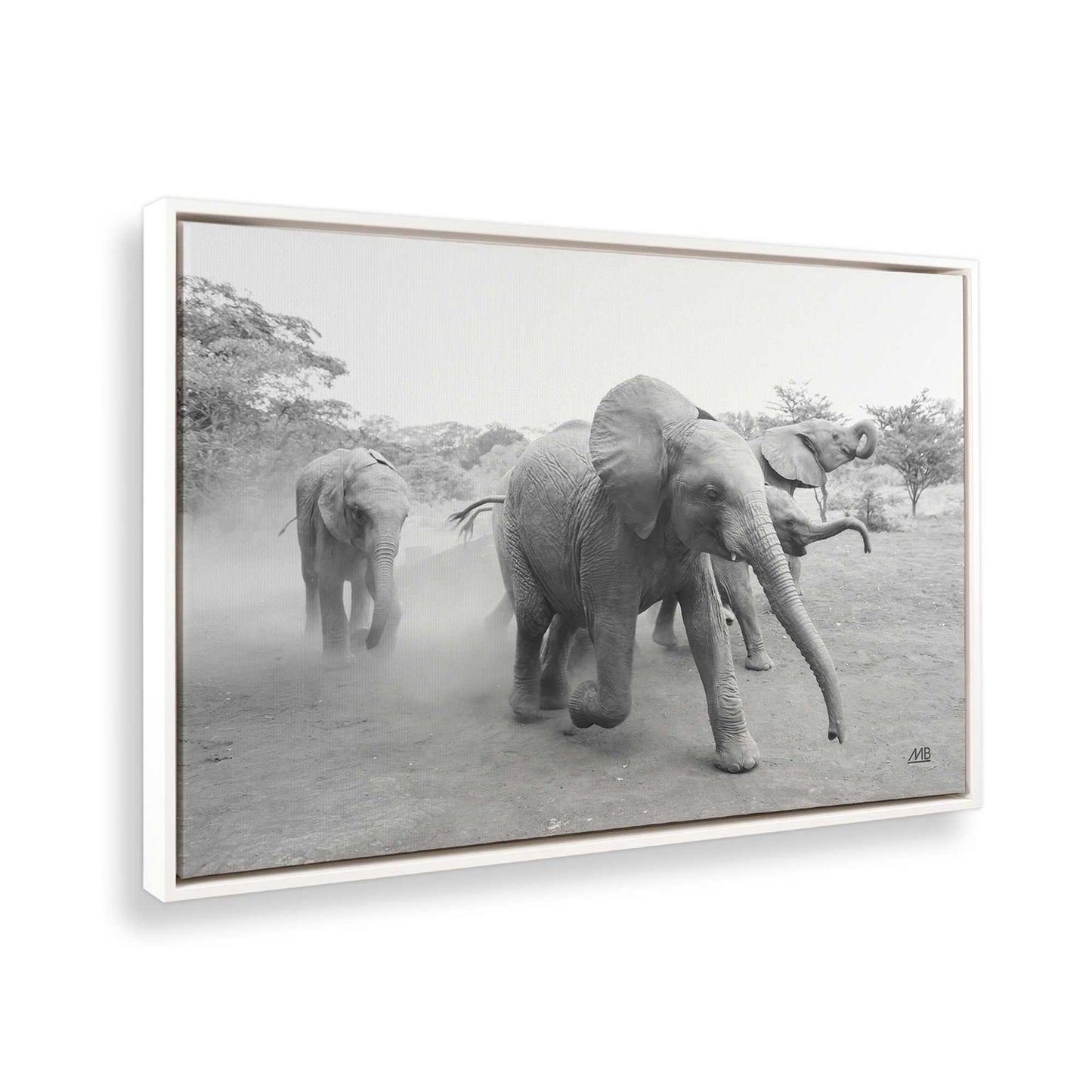 [Color:Opaque White], Picture of the corner of the art
