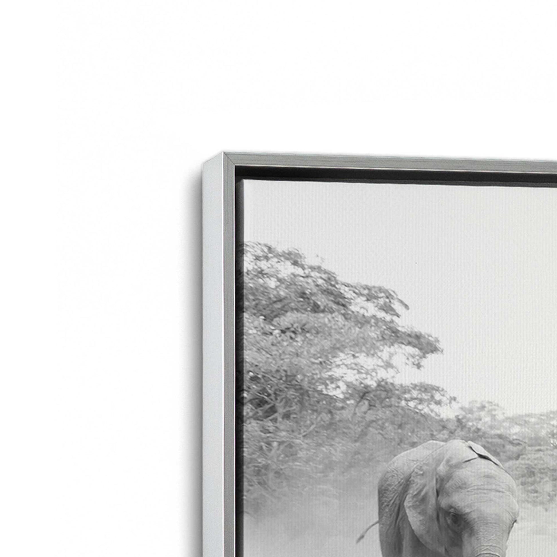 [Color:Polished Chrome], Picture of art in a Polished Chrome frame at an angle