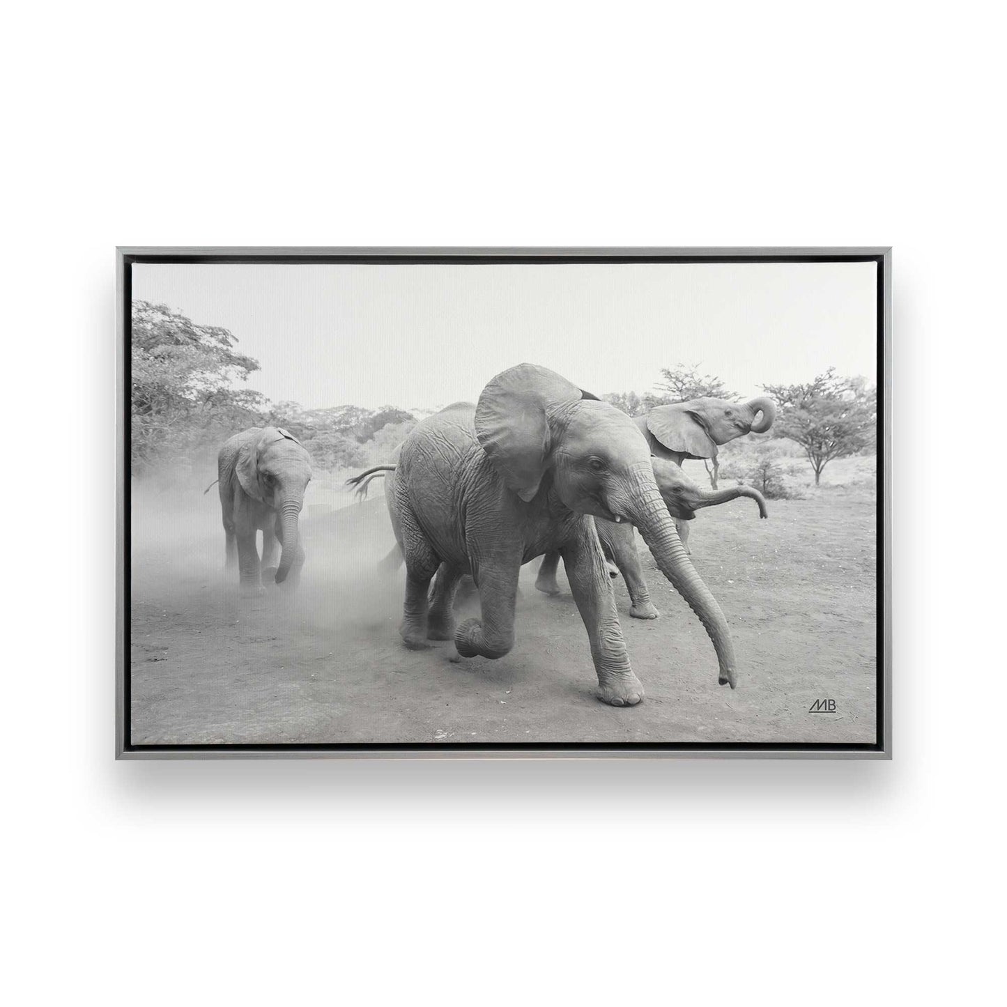 [Color:Polished Chrome], Picture of art in a Polished Chrome frame