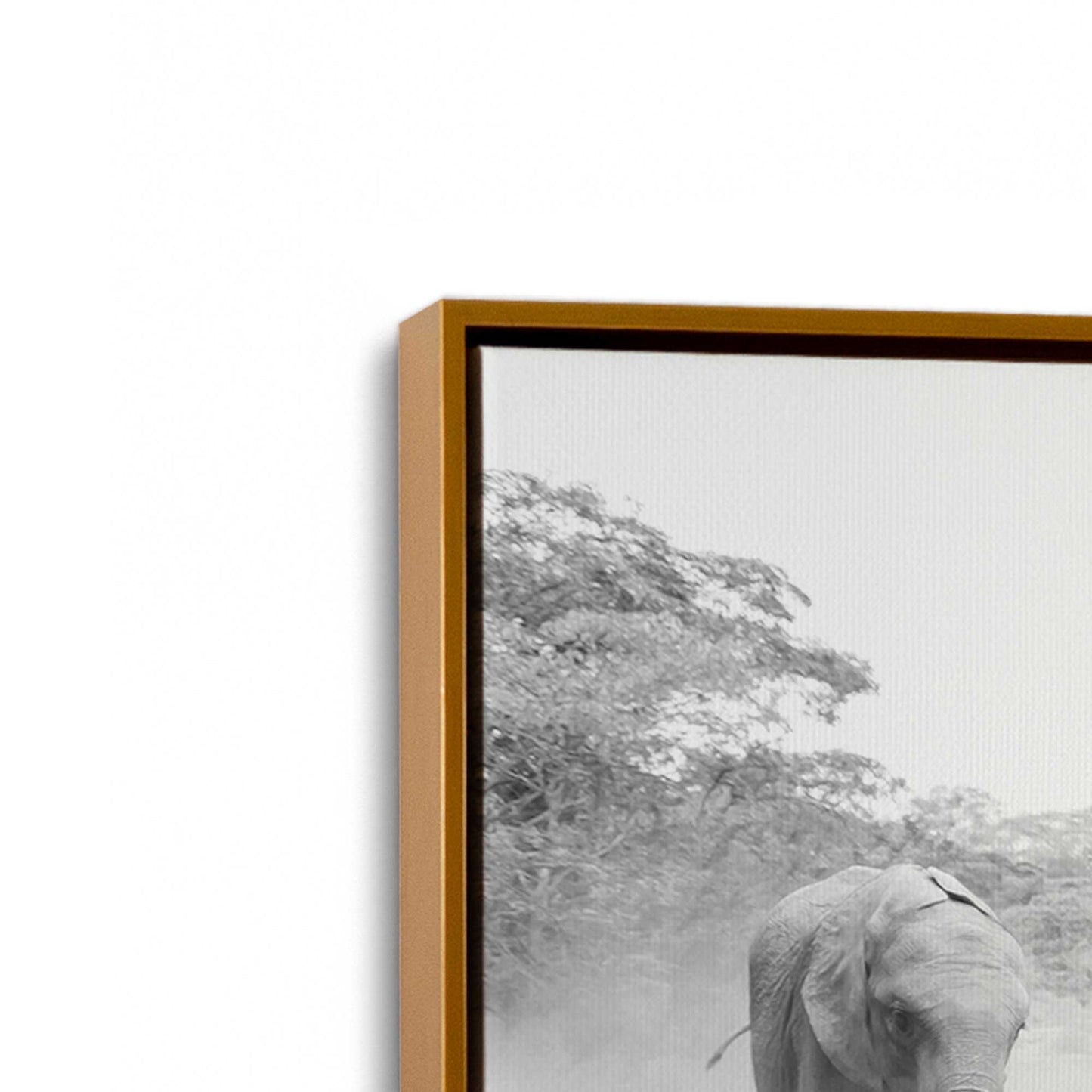 [Color:Polished Gold], Picture of art in a Polished Gold frame at an angle