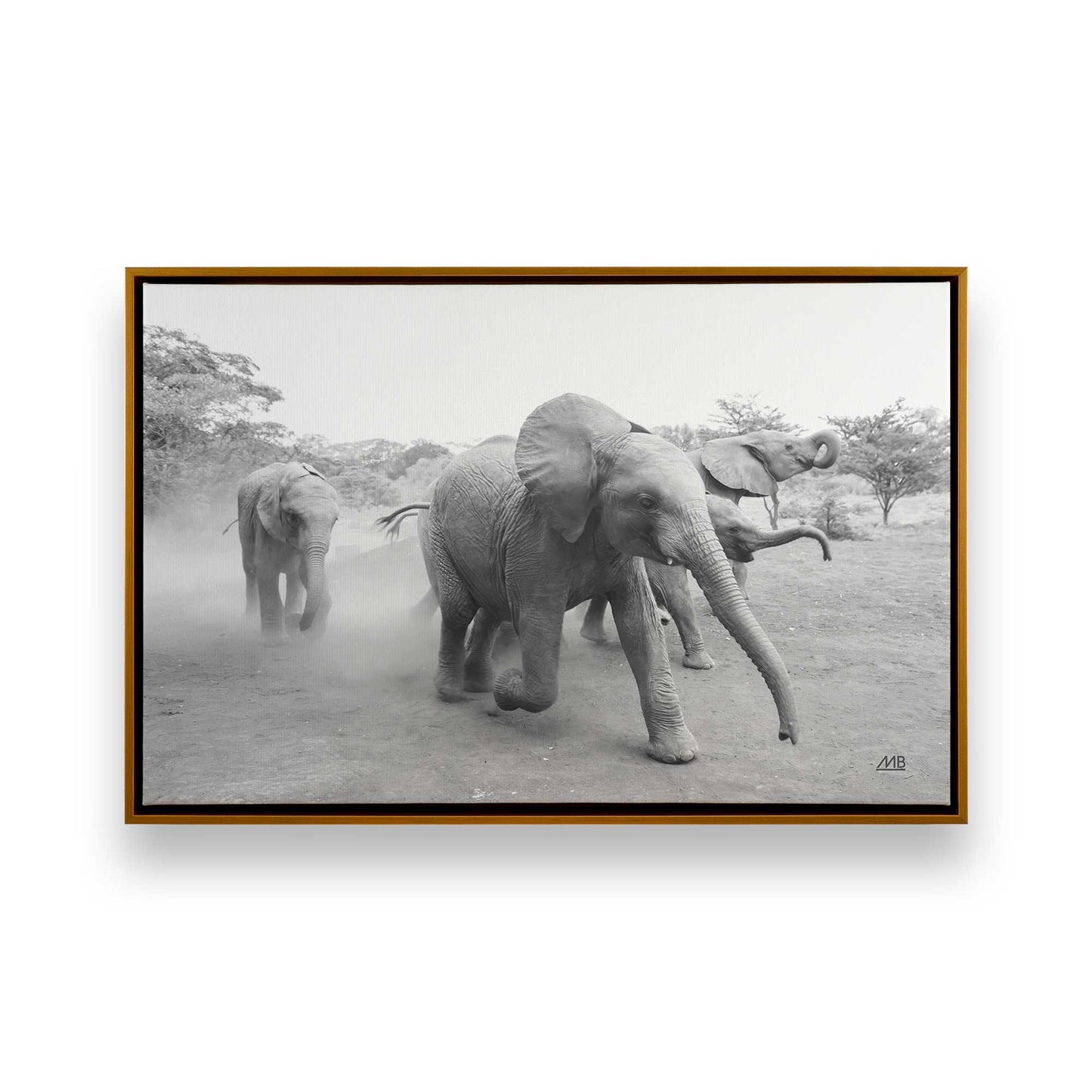 [Color:Polished Gold], Picture of art in a Polished Gold frame